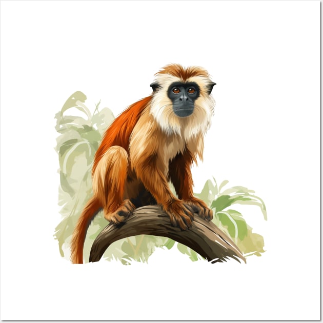 Squirrel Monkey Wall Art by zooleisurelife